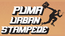 Puma Urban Stampede Hyderabad 2014